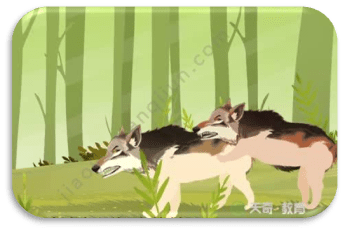 成语——狼狈为奸