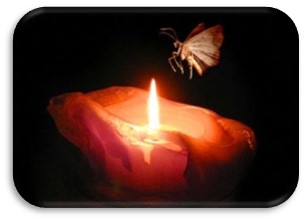 成语——飞蛾扑火